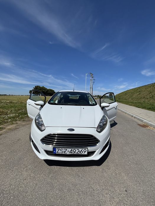 Ford Fiesta 2014 1.6 TCDI 95km
