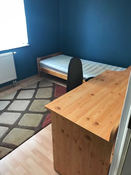 Mały umeblowany pokój jednoosobowy z drewnianym łóżkiem, biurkiem, krzesłem, grzejnikiem pod oknem, dywanem i niebieskimi ścianami w mieszkaniu na wynajem.