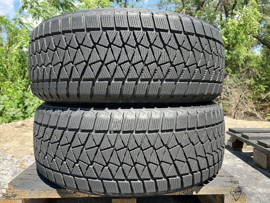 Шини 225/55 R18 Bridgestone Blizzak DM-v2 2 зимові гуми