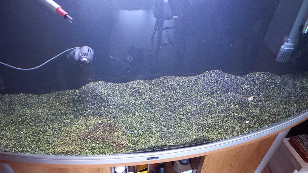 Areia preta sílica para aquário