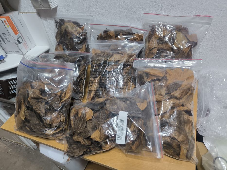 Liście suszone worki 3,6L akwarium terrarium paludarium wystrój