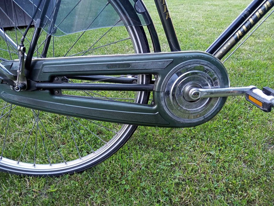 Rower Retro Altra UNIKAT