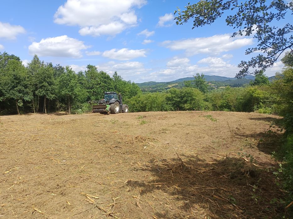 Mulczer, karczowanie, przygotowanie pod inwestycje