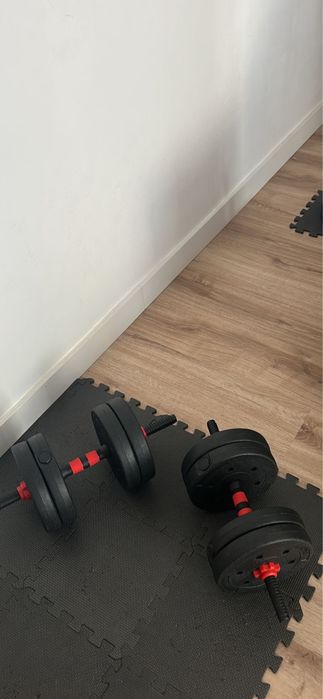 Halteres (40kg) como novos