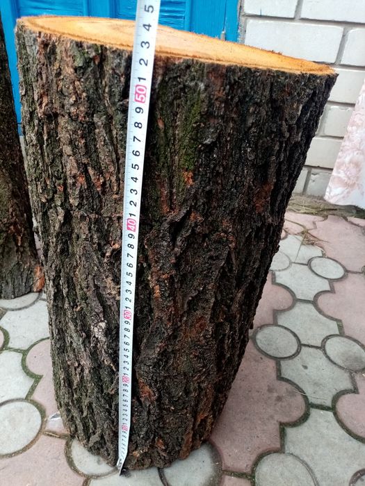 Продам деревянные колоды, кругляк с абрикосы