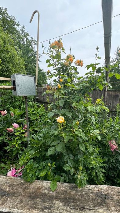 Продам Будинок ! Поблизу Вінниці!