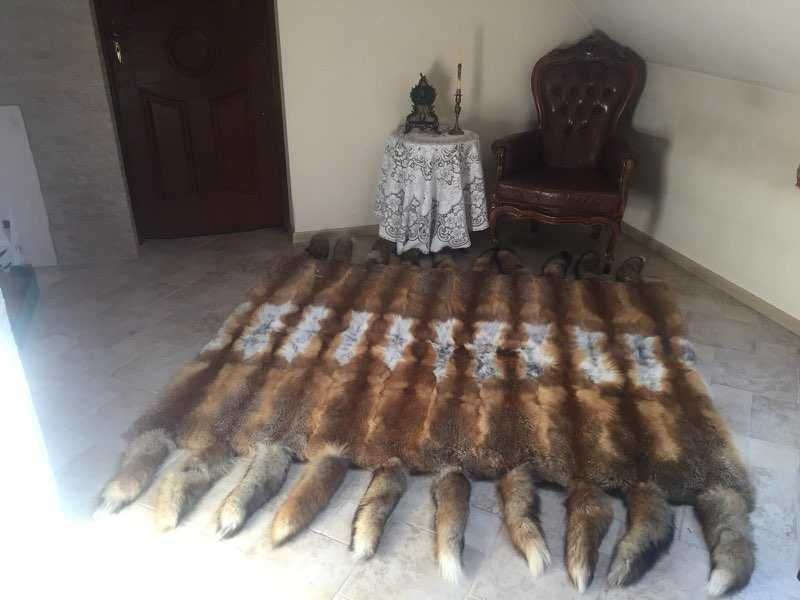 Dywan z lisa rudego uszyty z 20 lisów wymiar 1,5x2,0m