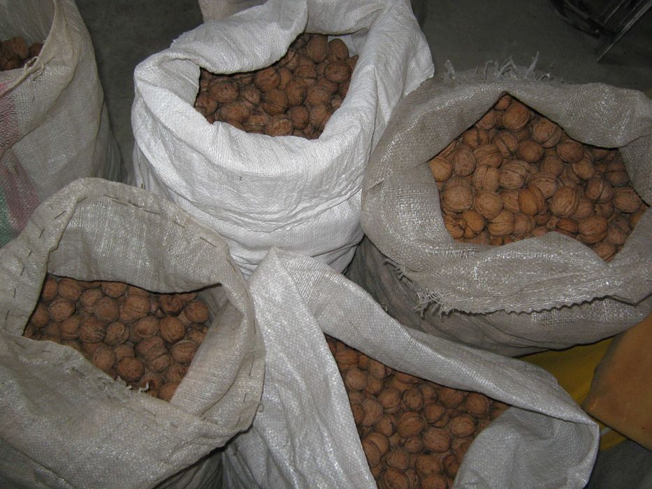 Продам грецкий орех