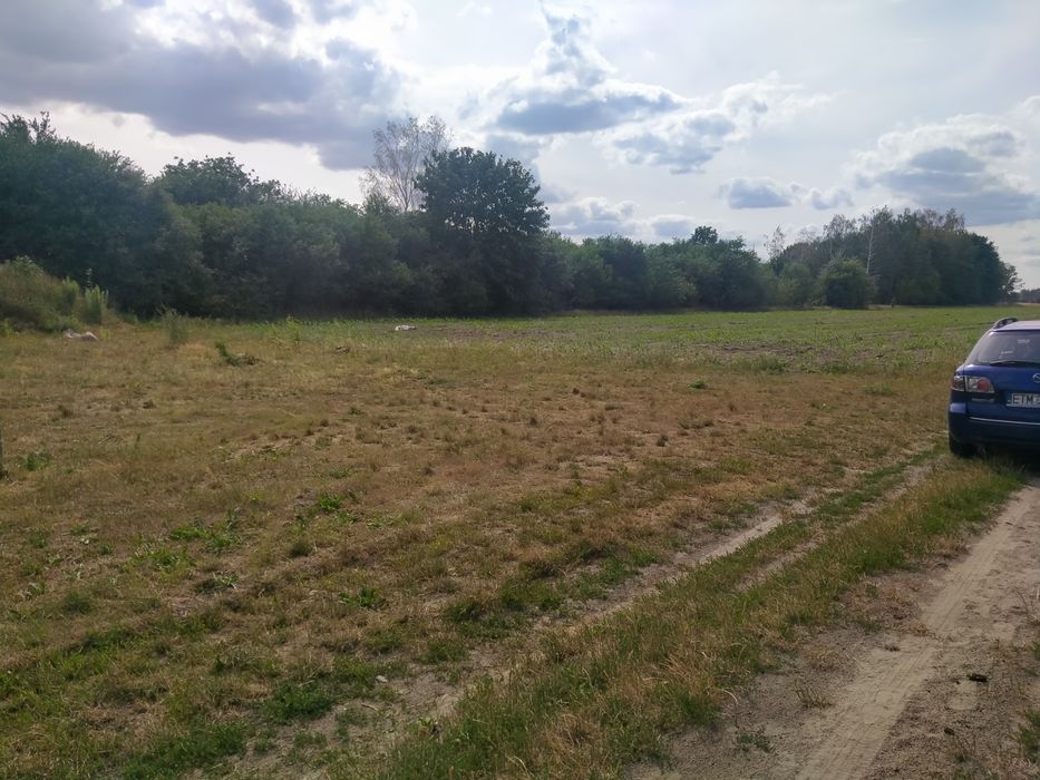 Działka Budowlana w Budziszewicach