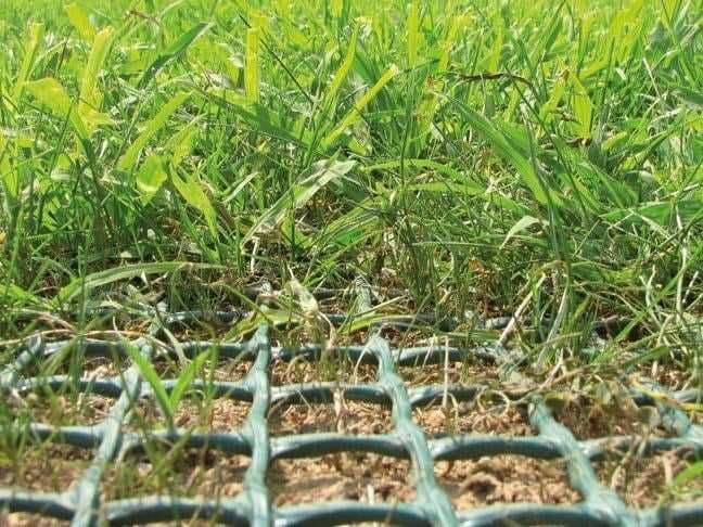 Rede para relva (Evite buracos do seu cão no jardim)