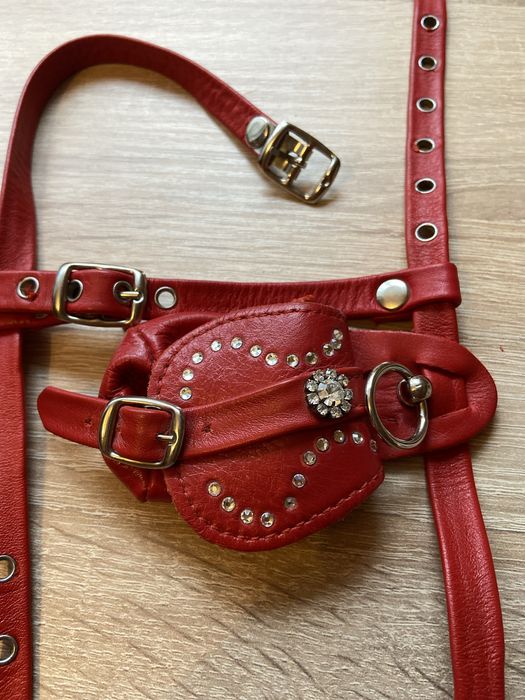 Шлея для маленькоі собачки з сумочкою для корму