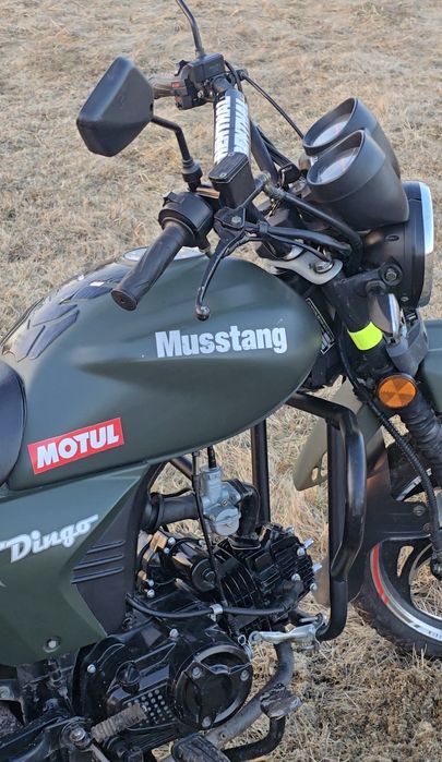 Мустанг, Musstang Dingo 125