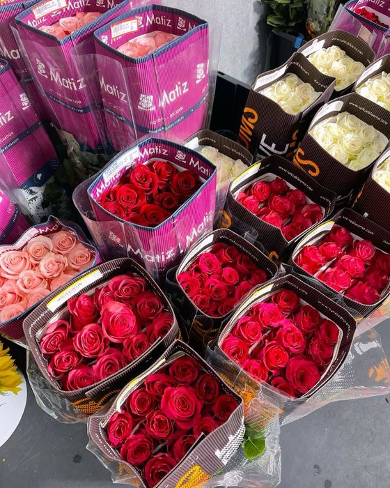 Квіти троянди/ тюльпани/ опт/ доставка