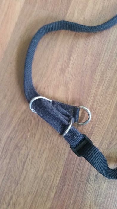 Obroża dla psa HUNTER obwód 70/50 cm