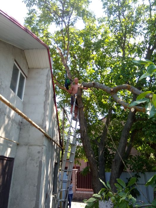 Пиляю дерева, будь-якої складності.