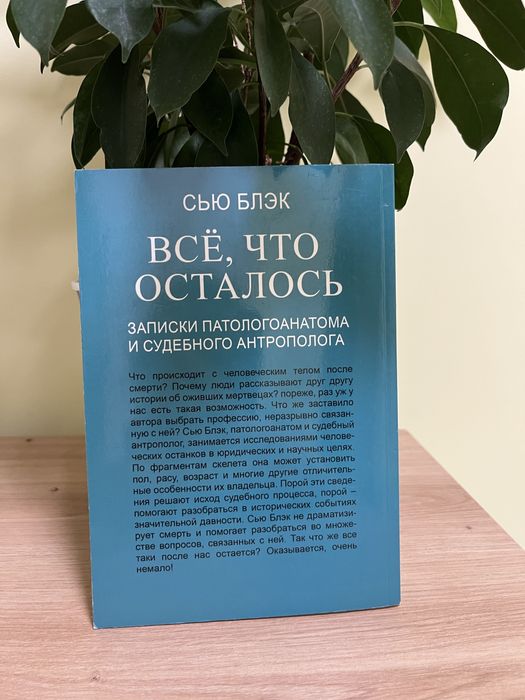 Все, что осталось