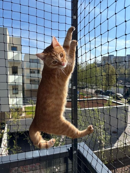 Montaż siatki na balkon dla kota/przeciw ptakom. W MAX 5 DNI ROBOCZYCH