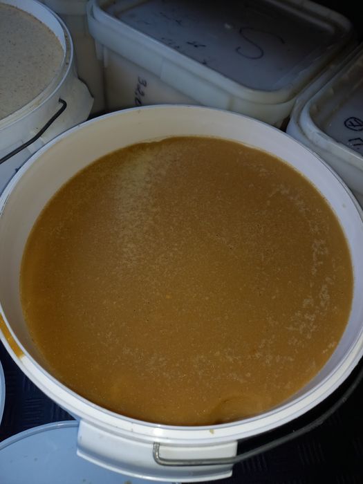 Мед лісовий різнотрав'я