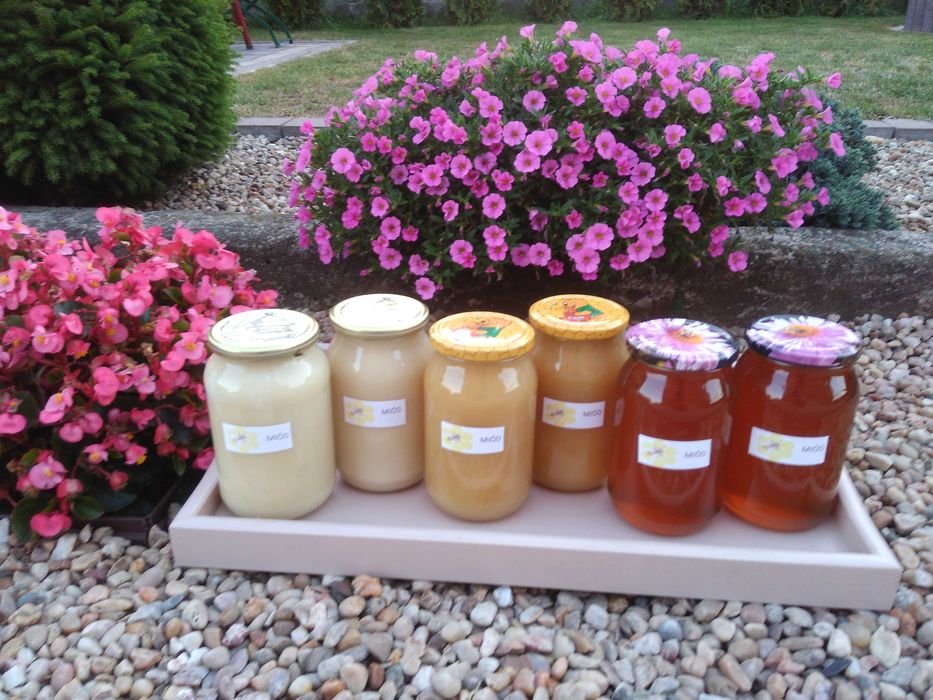 Miód naturalny z własnej pasieki.