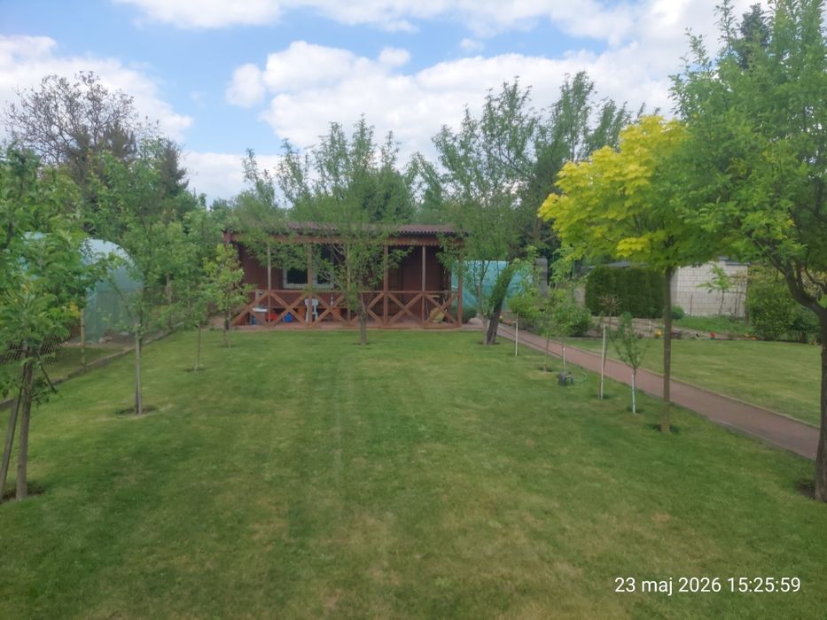 Działka ROD 35 Lecia Godów 400m² - Widok 4