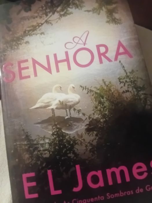 Livro a senhora EL james