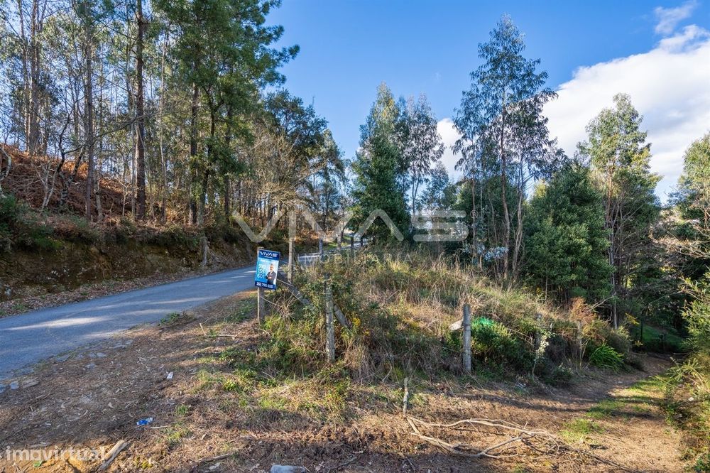 Terreno Rústico  Venda em Ribeira do Neiva,Vila Verde