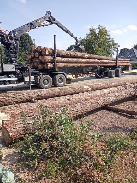 Więźba dachowa krokwie