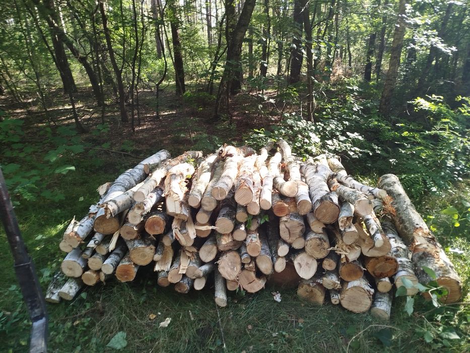 Sprzedam drewno opałowe