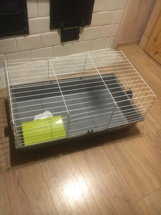 Klatka dla królika lub świnki morskiej