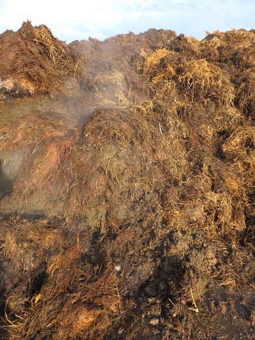 Obornik bydlecy, nawóz naturalny