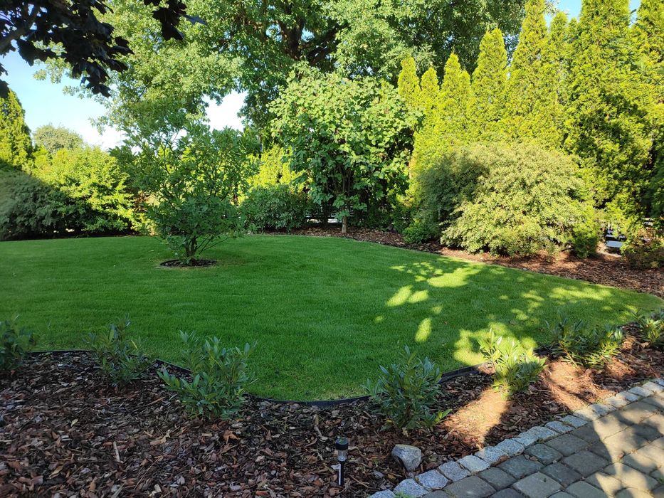 Projekt ogrodu wraz z realizacją