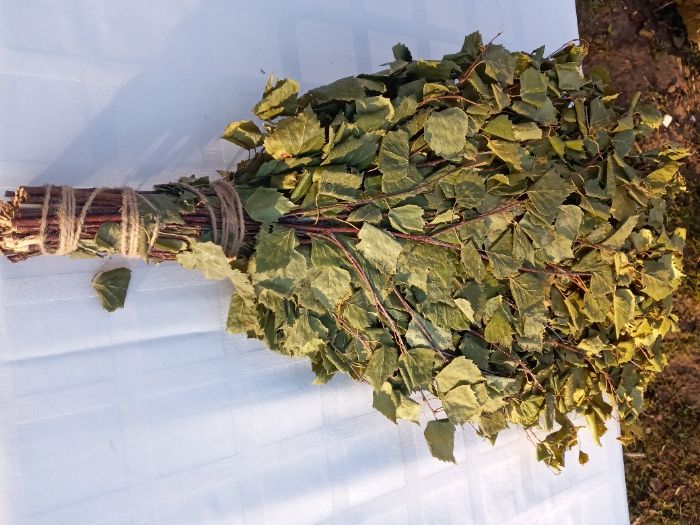 ВІники в баню сауну Дуб Береза Липа Ялина 10/5/50