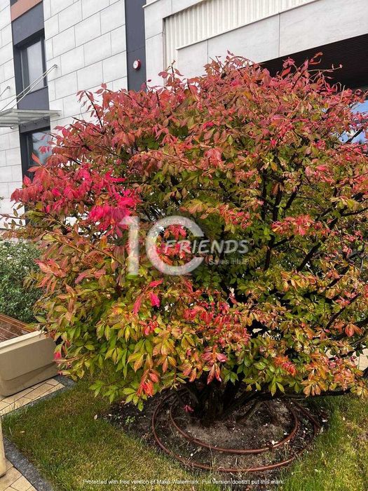 Паркінг в ЖК Метрополіс під 3 будинком