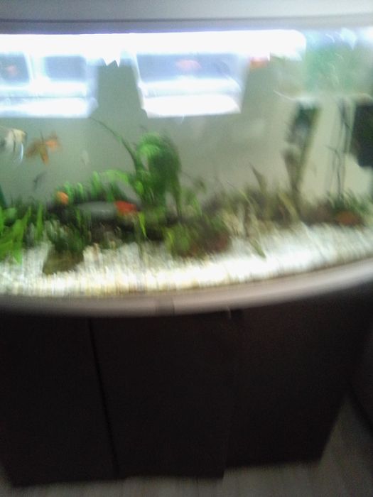 Aquário de aquário quente