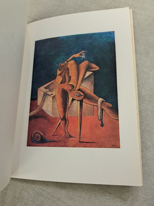 Livro Eu Falo em Chamas de Cruzeiro Seixas