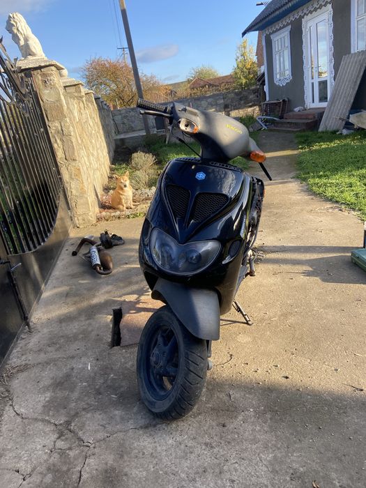 Piaggio zip sp 80