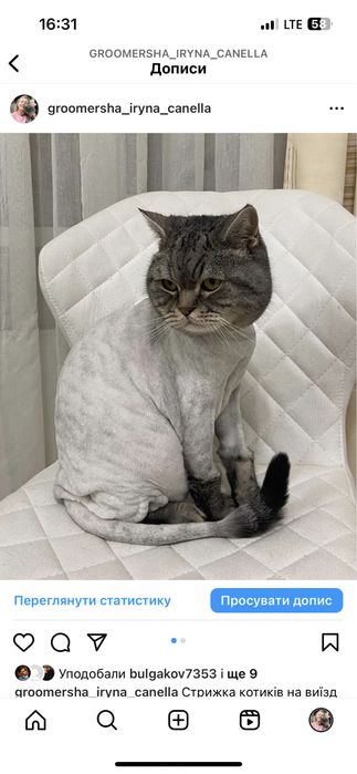 Святопетрівське Стрижка, грумінг котика,на виїзд,тиха машинка