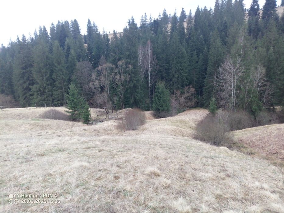 Земельна ділянка