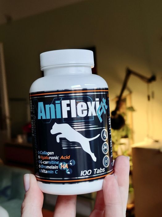 Game dog aniflexi fit 100 tabletek nowe