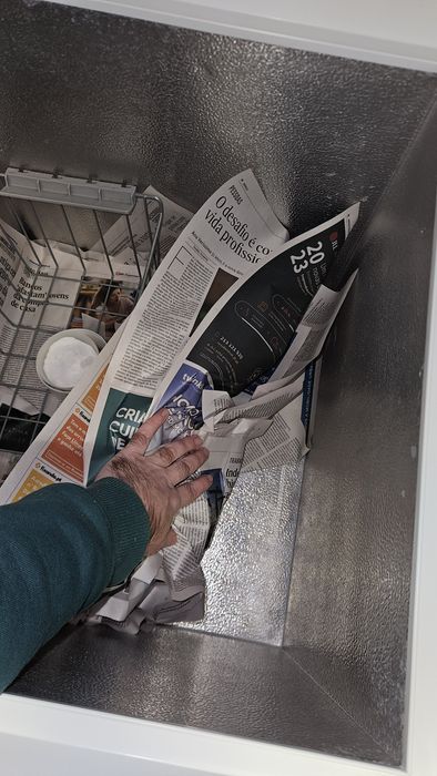 Arca congeladora Zanussi