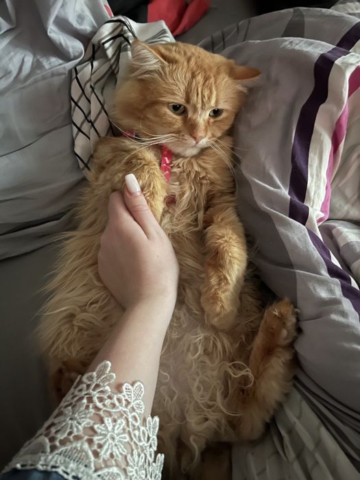 На перетимку 3 місяці