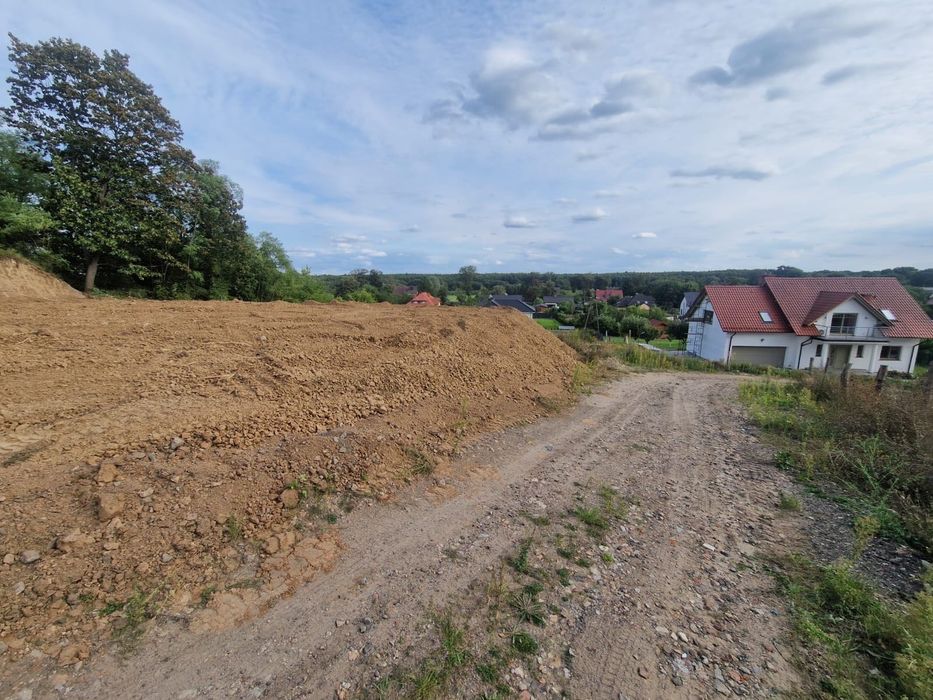 Działka 11 ar Dabroszyn - Widok 2