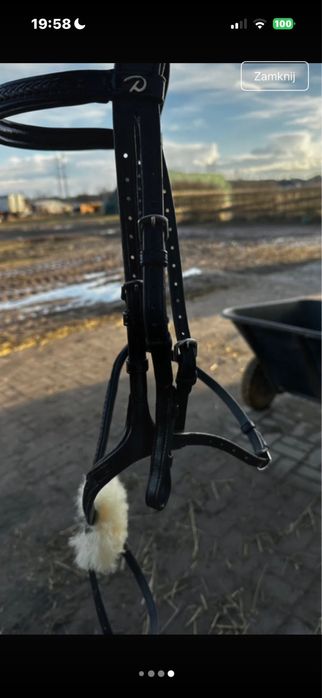 Ogłowie meksykańskie Dyon