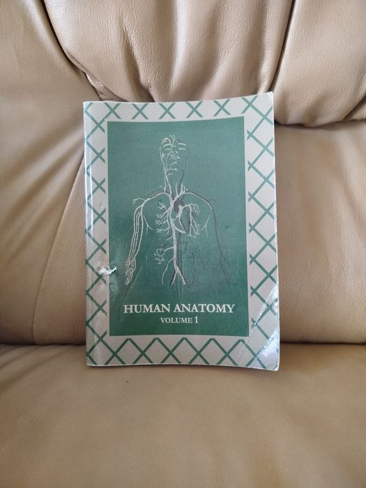 Human anatomy медичний посібник