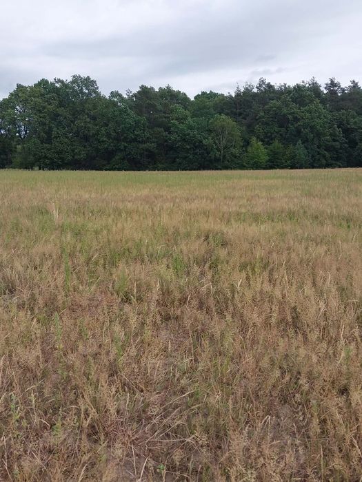 Działka budowlana 0,10ha