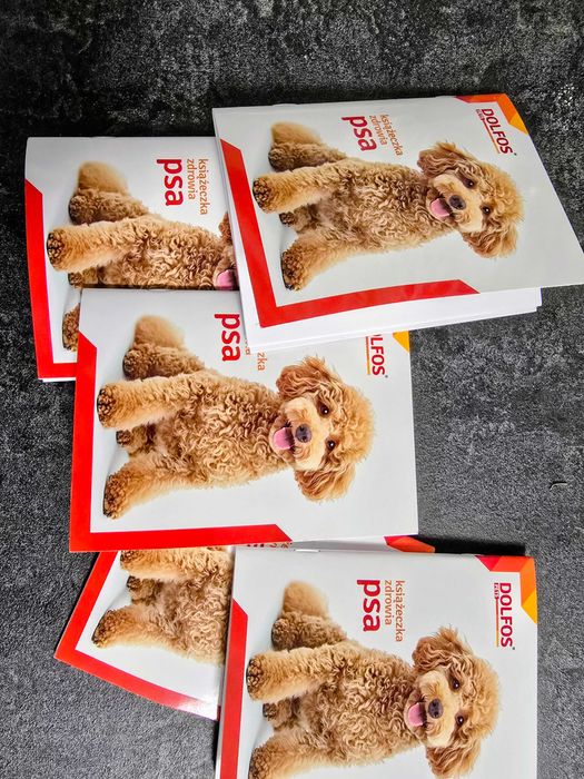 Oddam za darmo Szczeniaki