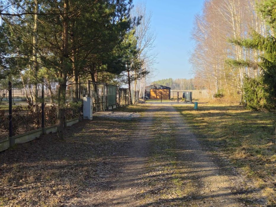 Działka budowlana Cychry gm. Pniewy - Widok 5