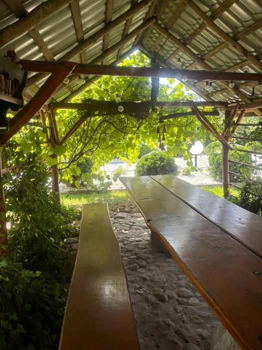 Agroturystyka pod Lasem