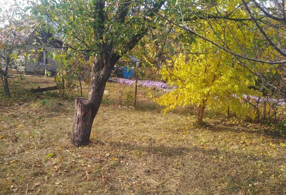 Продається земельна ділянка