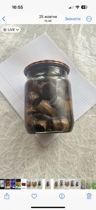 Гриби мариновані опеньки польсий білий синяк